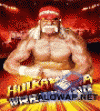 Hulkamania Wrestling 1